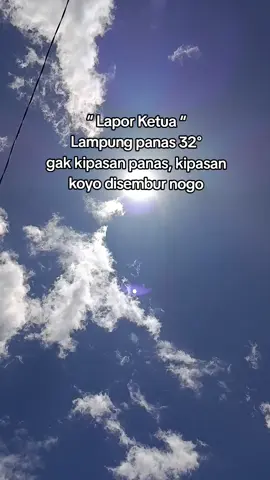 LaporRrrr ketua #fyp #fypageシ #lagutimur #lampung #masukberanda 