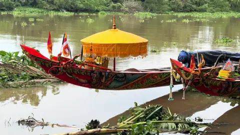 Ghe OMPOUYEAR ngày mai sẽ xuất hiện tại dòng sông mespero#ompouyear #fyp #duaghengosoctrang #២០២៥ 