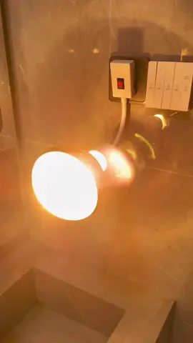 Đèn sưởi #xuhuong #dodungtienich 