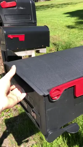 115 I hate getting bills in the mail #dunkinducks #bills #mailbox #petduck 