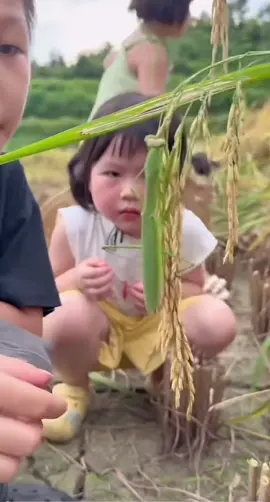 Yao yao cũm bt sợ 🤭 #瑶一瑶小肉包 #yaoyiyao #yaoyao #xuhuong #fyp 