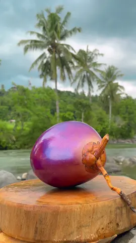 Coconut Dreams | Shocked Beuty | Blueberry Colors. 🌴 🥥#coconutcutting #TikTokJourneyContest