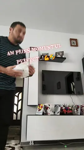 Am prins momentul perfect..!💪🤣#fyp #pamflet_tik_tok #hahaha😂😂😂 #comedie #fypviralシ 