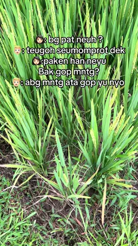 #fypppppppp han ta tem 7 juta ka si manyam 🙁😁