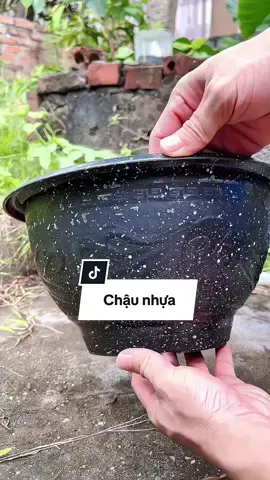 10 chậu nhựa tròn trồng cây cảnh cây hoa tiện dụng. #chaucaycanh #chaunhua #chaunhuatrongcay 