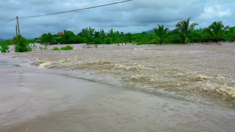 Hàm thuận Bắc nước đang dâng cao 
