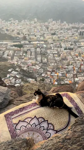 the peace after fajr