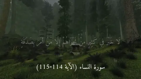 #قران_كريم #تلاوة_خاشعة #صدقة_جارية #علي_جابر #Holy_Quran 