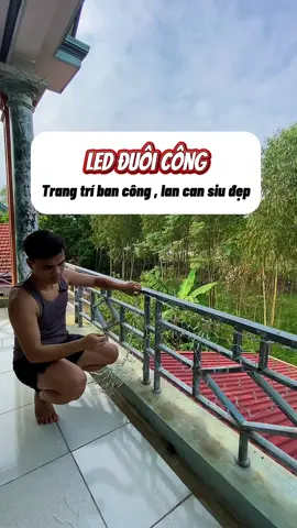 Trang trí ban công hoặc lan can thềm nhà Tết này hết nước chấm ae ạ 🥰🥰🥰