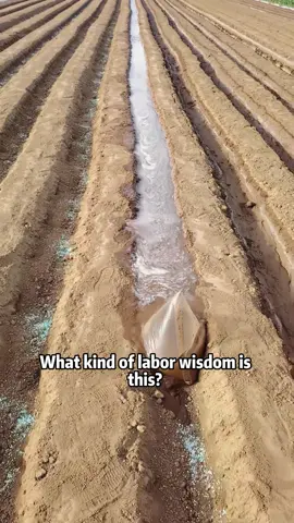 The wisdom of the working people is comparable to that of university professors #Science #usa #wisdom  