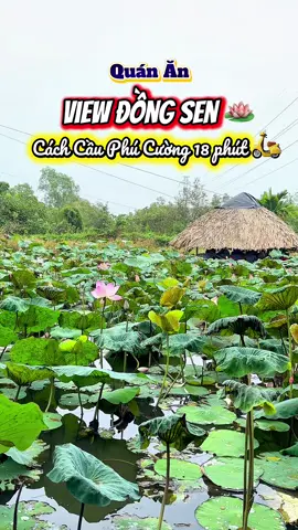 Hai mùi dễ chịu nhất hành tinh, là mùi đồ ăn và mùi tiền 😛 Cuộc sống cứ thế thôi hệ hệ 😘 #xuhuongtiktok #ăncungtiktok #ănngon #viral #xuhuong 