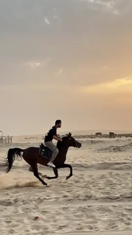 وانا من بلاني في غرامه 🥺🐎🐎🐎. #الوسمي 