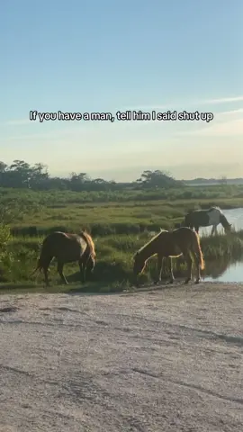 #Lifestyle #fypシ゚viral #fy 