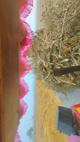 ik chera 🥹💯#farming_143 #farmingcontent #tractor #foryou #trending 