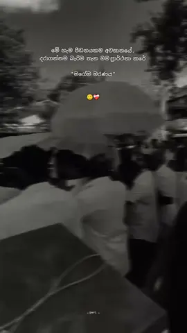 😖❤‍🩹#foryoupage #viralvideo #2milionviews #sinhalaquotes #wathsapp_status_video 