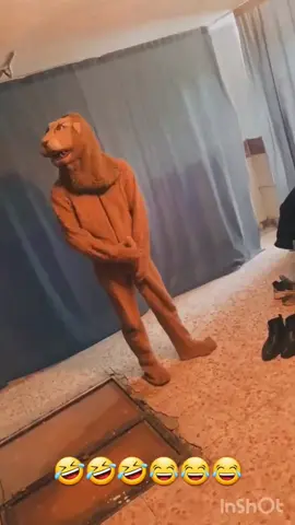 شێرەکەی بازیان لە دەست دەرچوە 💔 #CapCut #acc #foryoupage #شێرەکەیبازیان #شێر 