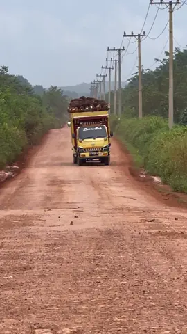 #trucksawitkalimantan #tiktokcreatorsummitid #sultanmakansonice 