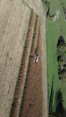 #moisson #maïs🌽 #prtoi #france #agriculture 