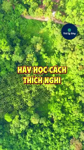 Hãy học cách thích nghi #trietlysong 