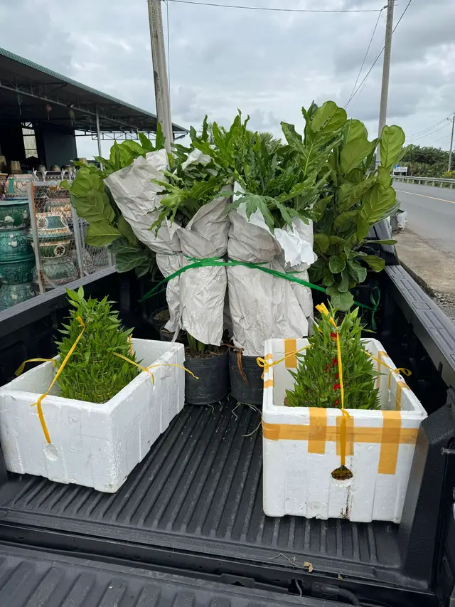 KHÔNG CẦU NHUNG GẮM CHỈ CẦU BÌNH YÊN ❤️❤️