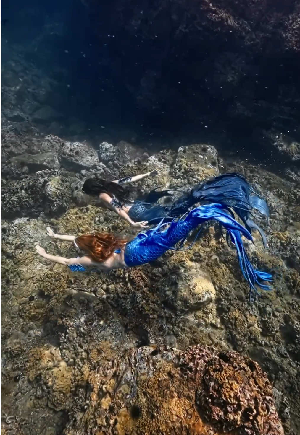 🧜‍♀️🧜‍♀️ @Mermaid Aqualina #mermaids #freediving #magic #atlantis #underwater 