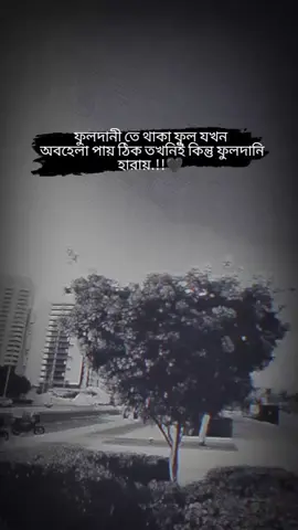 ফুলদানী তে থাকা ফুল যখন অবহেলা পায় ঠিক তখনিই কিন্তু ফুলদানি হারায়#foryou #fouryourpage #vaira #tiktok #ইনশাআল্লাহ_যাবে_foryou_তে 