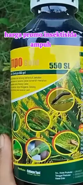 limpogold550sl insektisida pembasmi segala jenis hama tanaman ampuh #insektisida #pembasmihama #ampuh#petaniindonesia🇮🇩🇮🇩🇮🇩🌿🌿 #pyfツ 