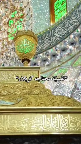 #كربلاء_مدينة_العشق_والعاشقين #اهل_البيت_عليهم_سلام #قصائد_حسينيه #احبكم_يا_احلى_متابعين 