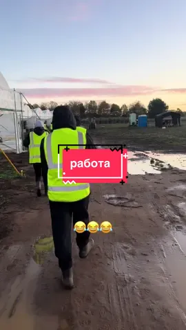 #ферма #работаванглии🇬🇧 #сборягод #сезоннаяработаванглии 