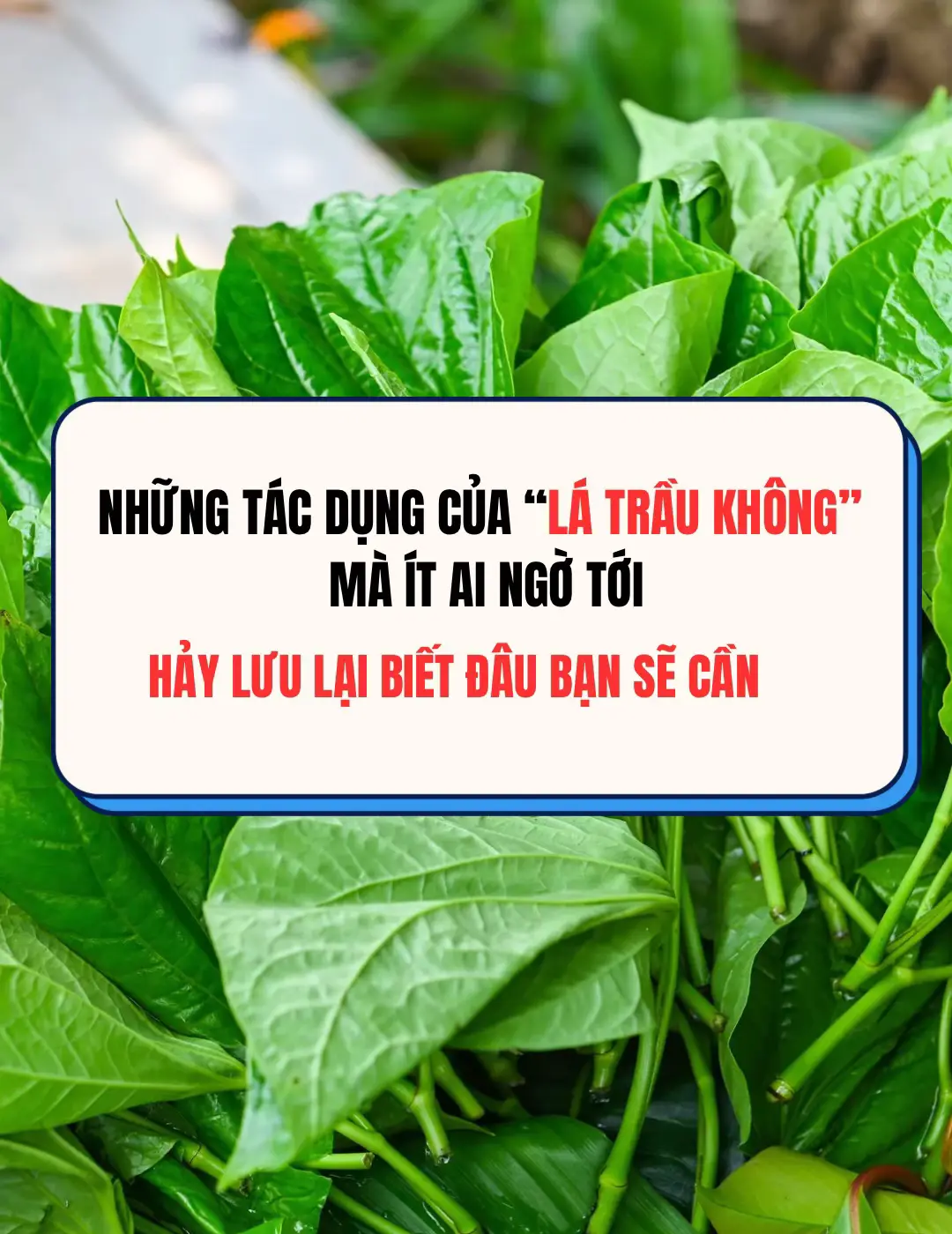 Hảy lưu lại biết đâu bạn sẽ cần #meovat #tienich #giamdaulung #dungtrebidayhoi #nhienvegan 