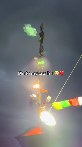 #fyp #bimalshresthaaa #foryoupage #viral 