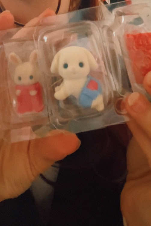 unboxing sylvanian families 🐱🐰#sylvanianfamilies #unboxingblindbox #blindboxopening #blindbox #sylvanianfamiliesunboxing 