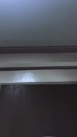 Spooktacular vibes only! USM SERDAC joins the Halloween trend 👻 #halloweenTrend #spooky 