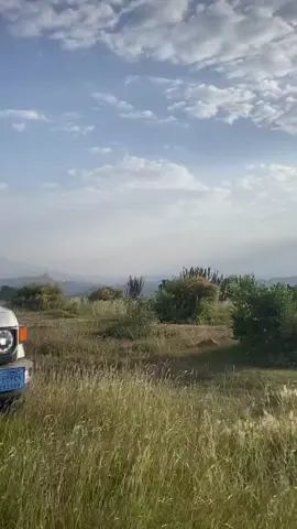 #اكسبلور #اليمن🇾🇪 