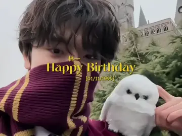 2 more days, my darling's birthday🥳🫰🏻#chineseboy #linyi #aktorchina #xyzbca 