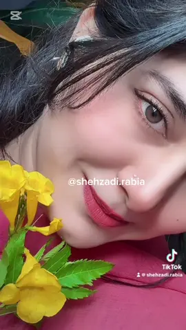 #RealAccount #OfficialAccount #Shehzadirabia #fypシ゚ 