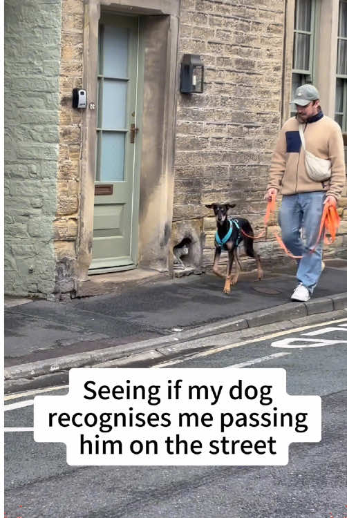 When my dog recognizes me, it reacts#fyp #dog #foryou #Love #doglover