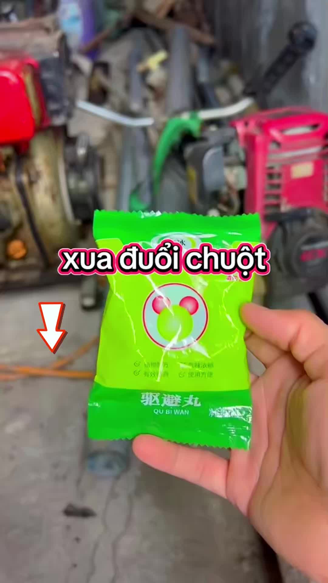 🐭Nhà đầy côn trùng? Vài viên thuốc, đuổi sạch cả ổ! 