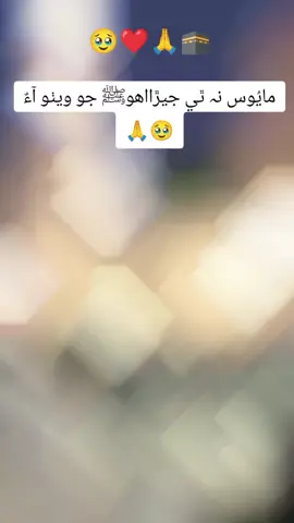 مايوس نہ ٿي جيڙا🥹 (سنڌي نعت ) #سبحان_الله_و_بحمده_سبحان_الله_ 