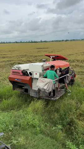 Lụm @Xuân.lê.ac.phụ. @Đặng Thành Lợi @sang đặng @Hào Đặng 🤫 