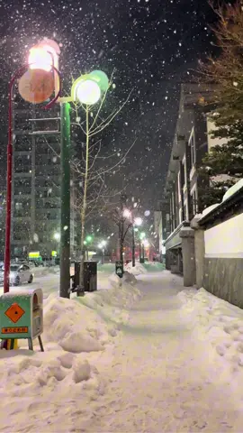 One Night in Sapporo, Hokkaido, Japan ❄️☃️🌨️ #japan #Winter #travel #hokkaido #snow 