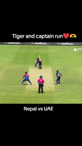 Tiger and captain run❤️🫶#viralvideos #cricketplayer #foryouu #keppsupporting #goviral 