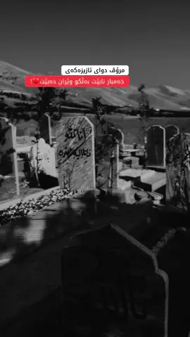 #foryou #fyp #viral #capcut #hawler_slemani_dhok_karkuk_hallabja 