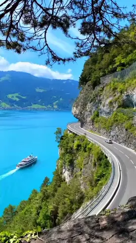 #creatorsearchinsights 