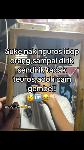 #pontianak#katakata#funkotpontianak#fyp#xyzbca