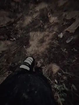 从尘土飞扬的土路上，我用自己的双脚走上来。