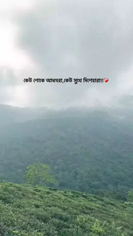 ❤️‍🩹 #bdtiktokofficial #foryoupage #foryou #unfrezzmyaccount #fyp 