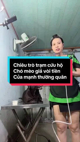Cách các trạm giả vòi tiền mạnh thường quân #TikTokAwardsVN #lovepet #bemuc #bemuc #dog 