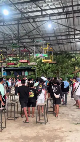 #fyp #fyppppppppppppppppppppppp #foryoupage #foryоu #kenarimaniaindonesia     Waktu indonesia bagian GAZENG 🤣 kenari tidak boleh akur 