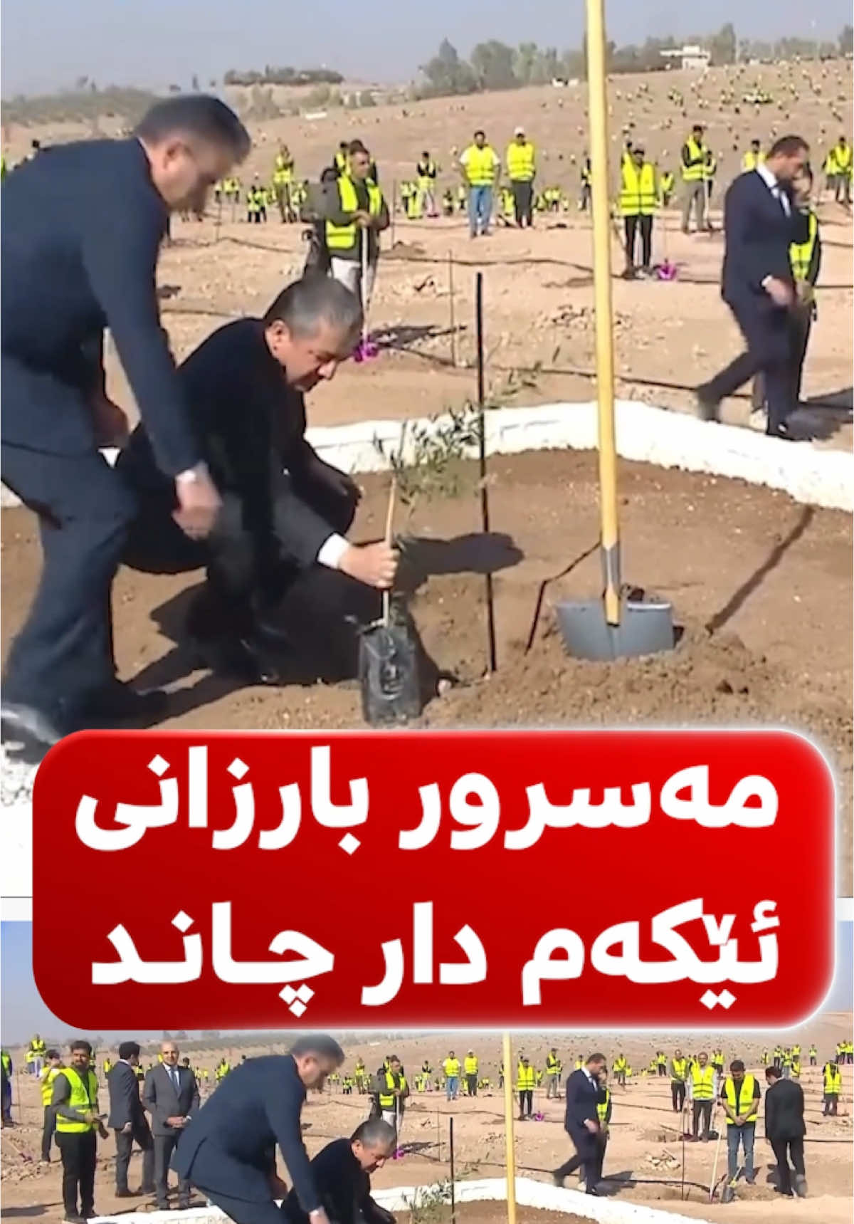 مەسرور بارزانی سەرۆکێ حکۆمەتا هەرێما کوردستانێ؛ ئێکەم دارا زەیتونێ ل کەمەرا کەسک یا هەولێرێ چاند.